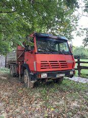 Steyr 25S32 dump truck