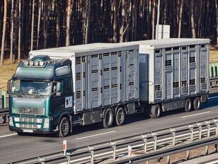 Volvo FH 12  livestock truck + livestock trailer